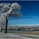 in der Nähe von Fribourg II............