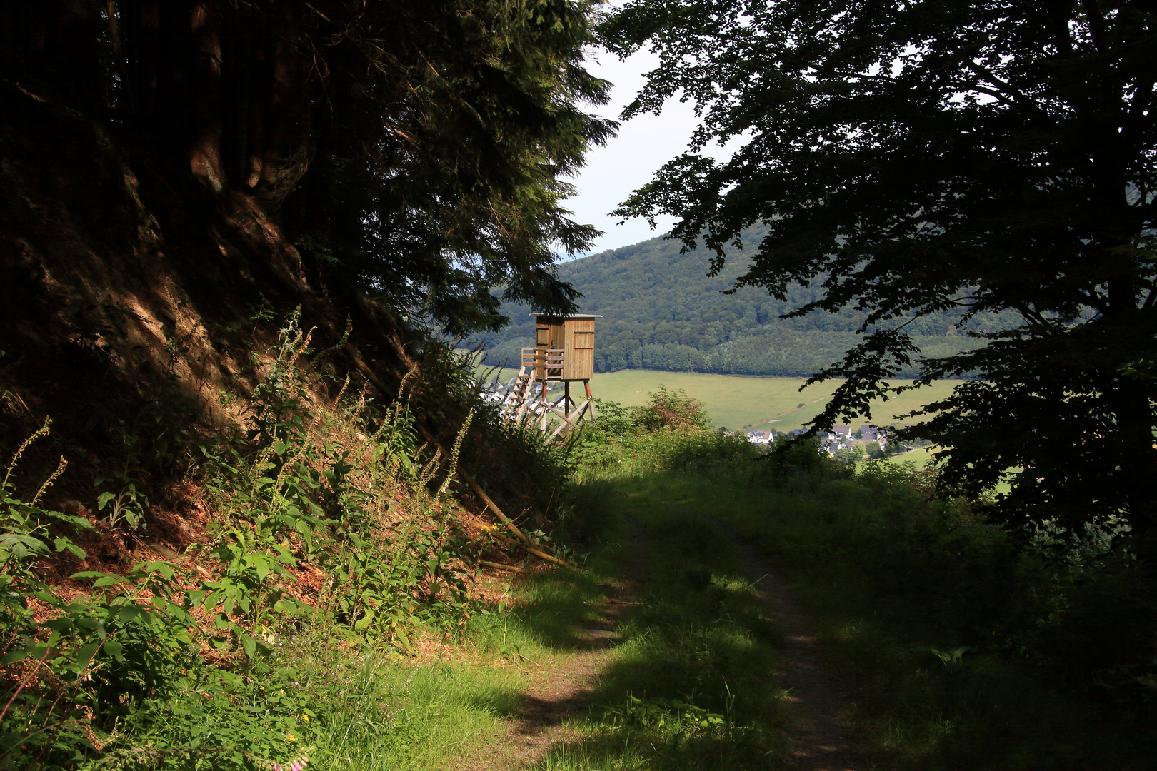 In der Nähe von Grafschaft (Sauerland)