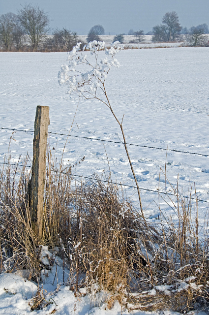 In der Nähe von Großseelheim (Hessen)