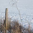 In der Nähe von Großseelheim (Hessen)