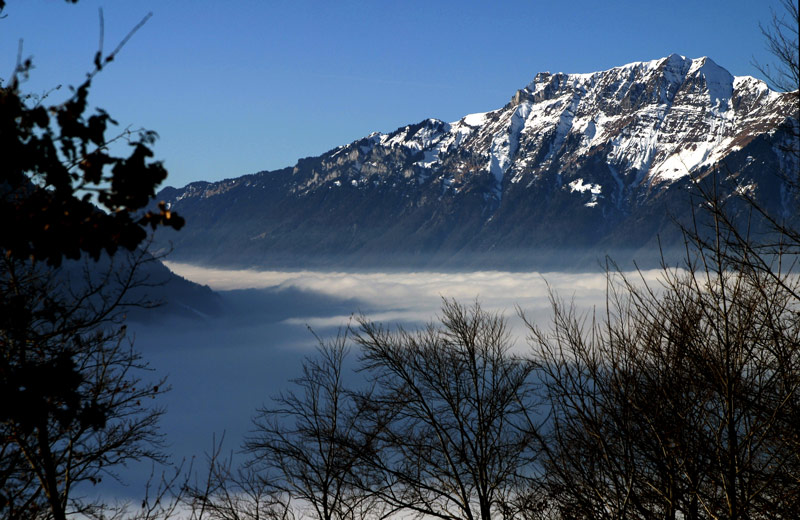 in der Nähe von Meiringen