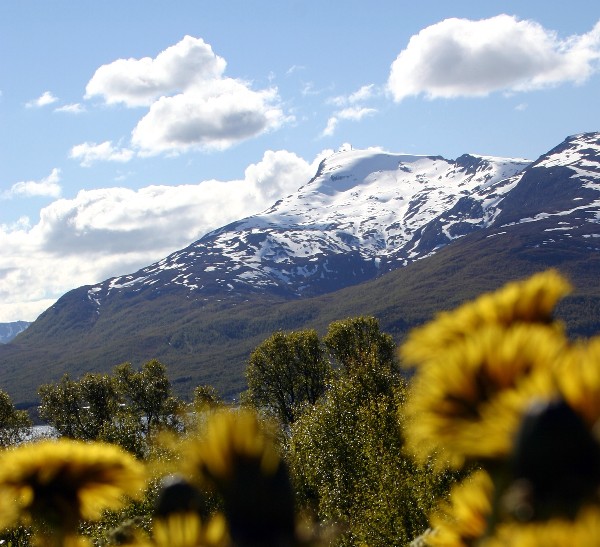 In der Naehe von Narvik