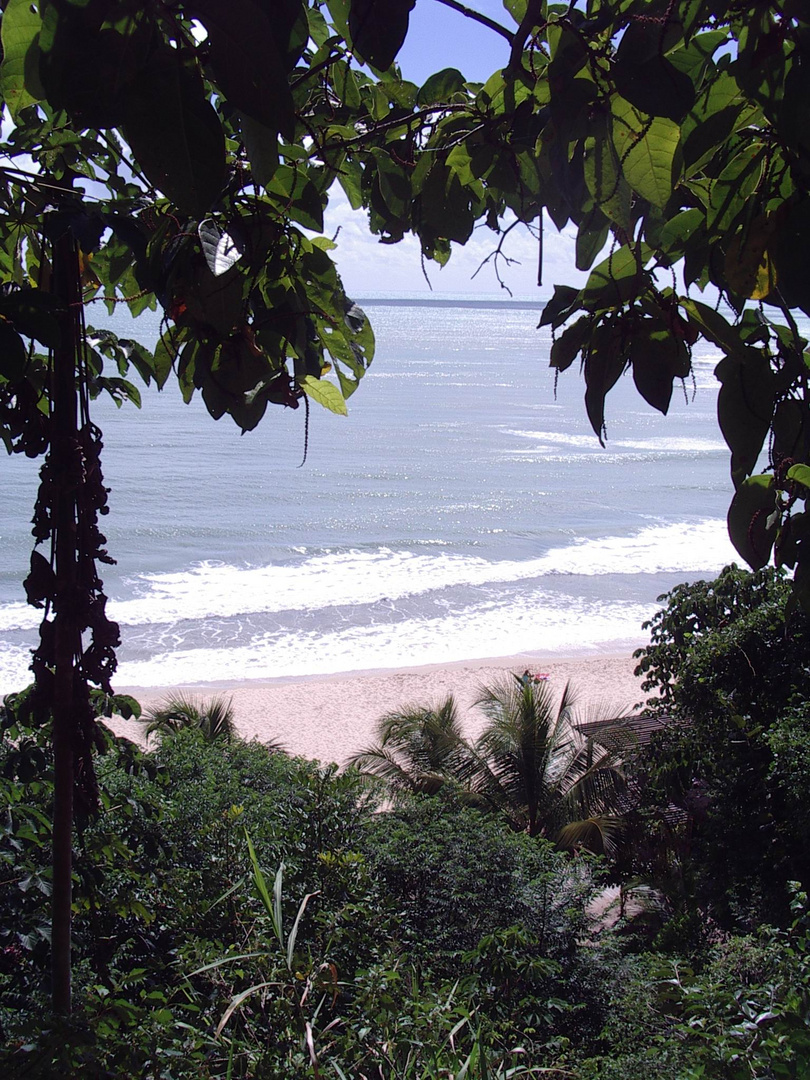 In der Nähe von Natal RN Brasilien