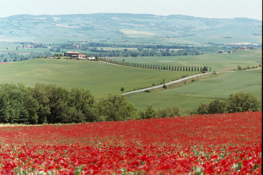 in der Nähe von Pienza