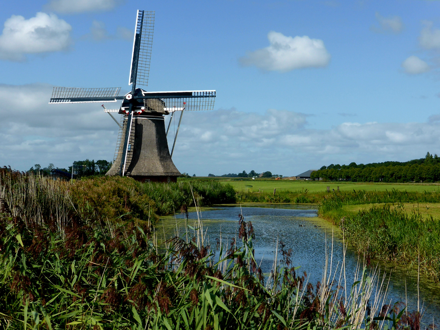 In der Nähe von Ternaar (Friesland,Nl)