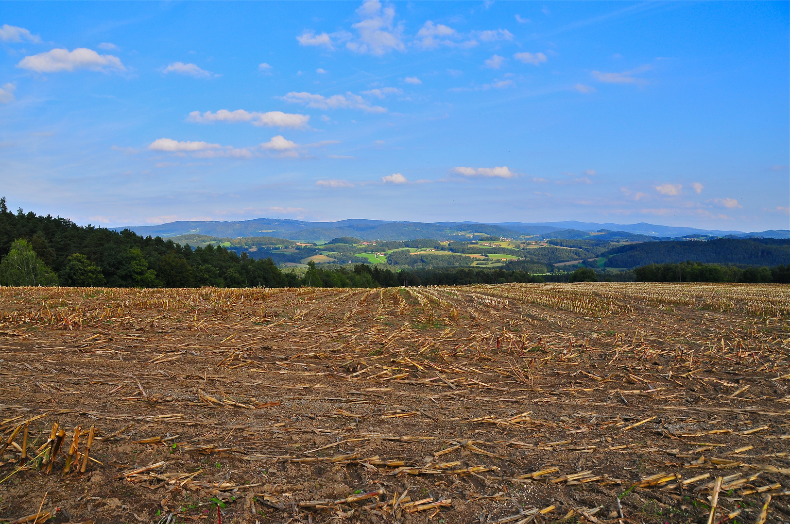 In der Nähe von Windberg am Bayerischen Wald