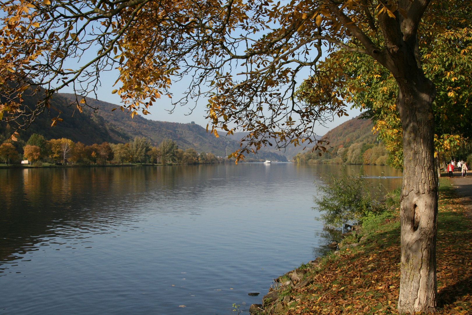 In der Nähe von Zell