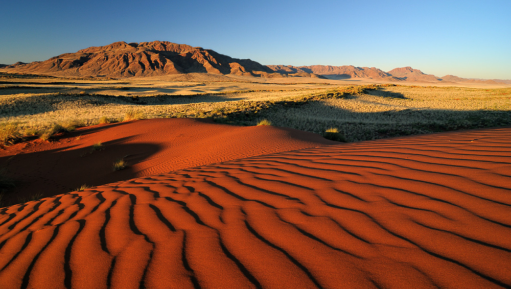In der Namib