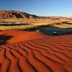 In der Namib