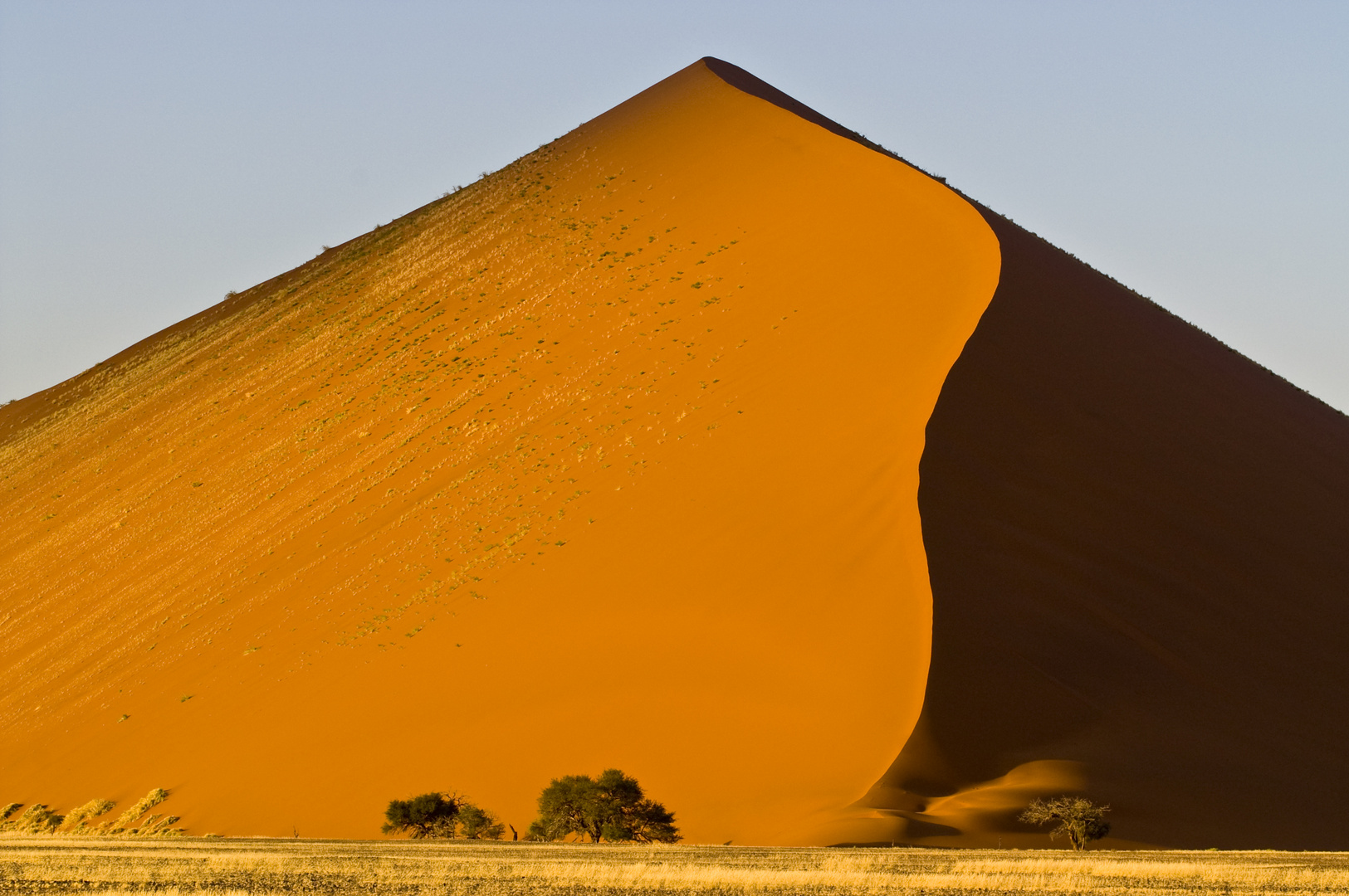 In der Namib / 2009