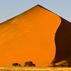 In der Namib / 2009