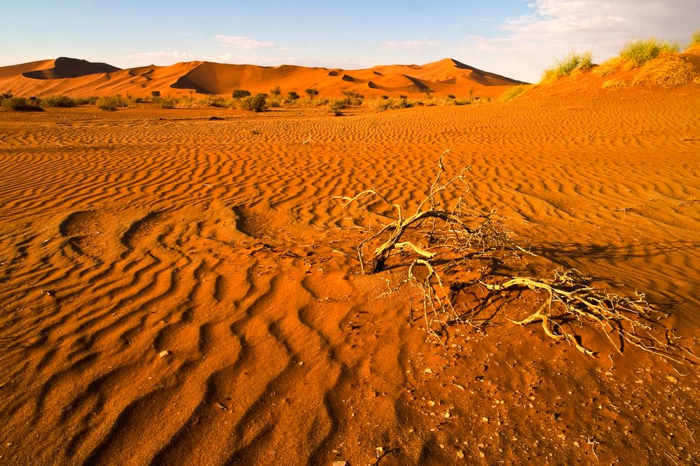 In der Namib