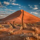 In der Namib