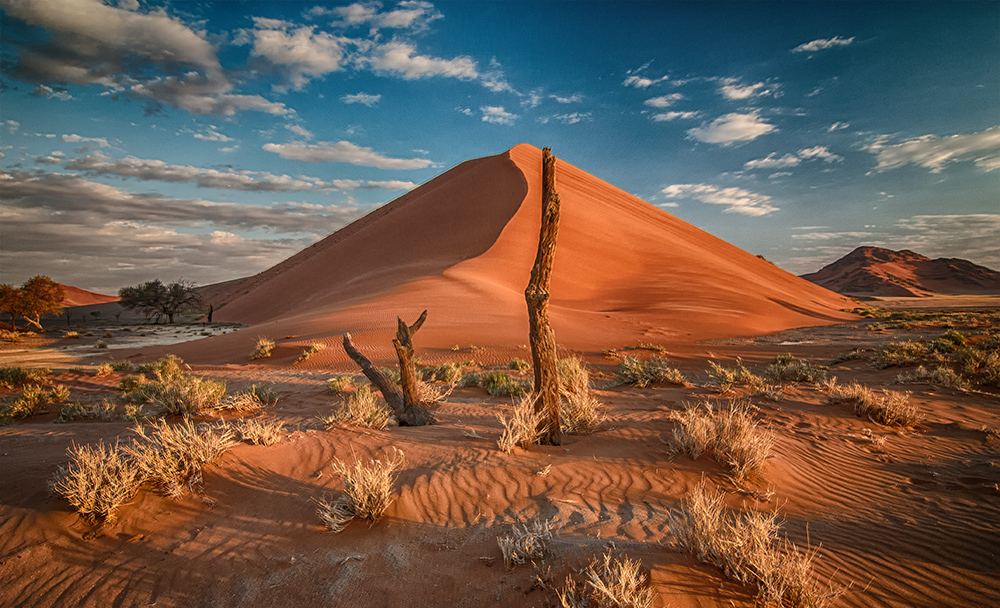 In der Namib