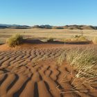 In der Namib