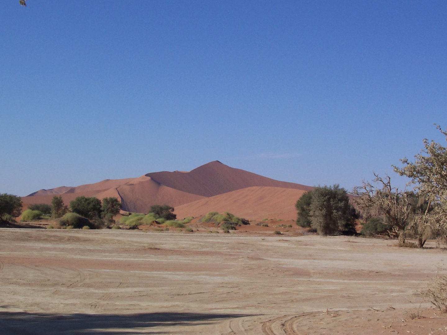 In der Namib