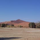 In der Namib