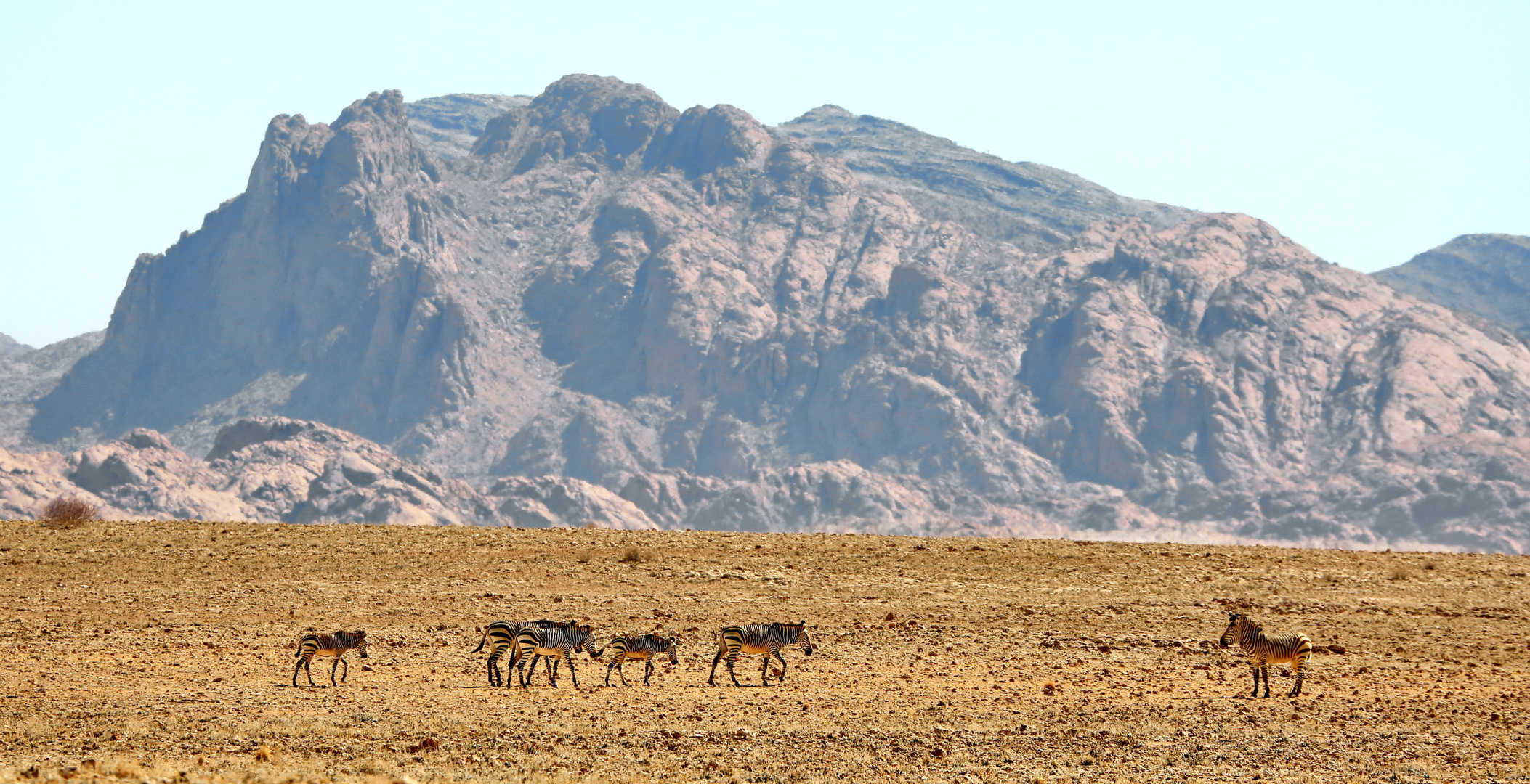 In der Namib