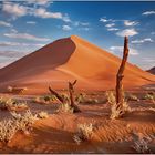 In der Namib [Part 2]