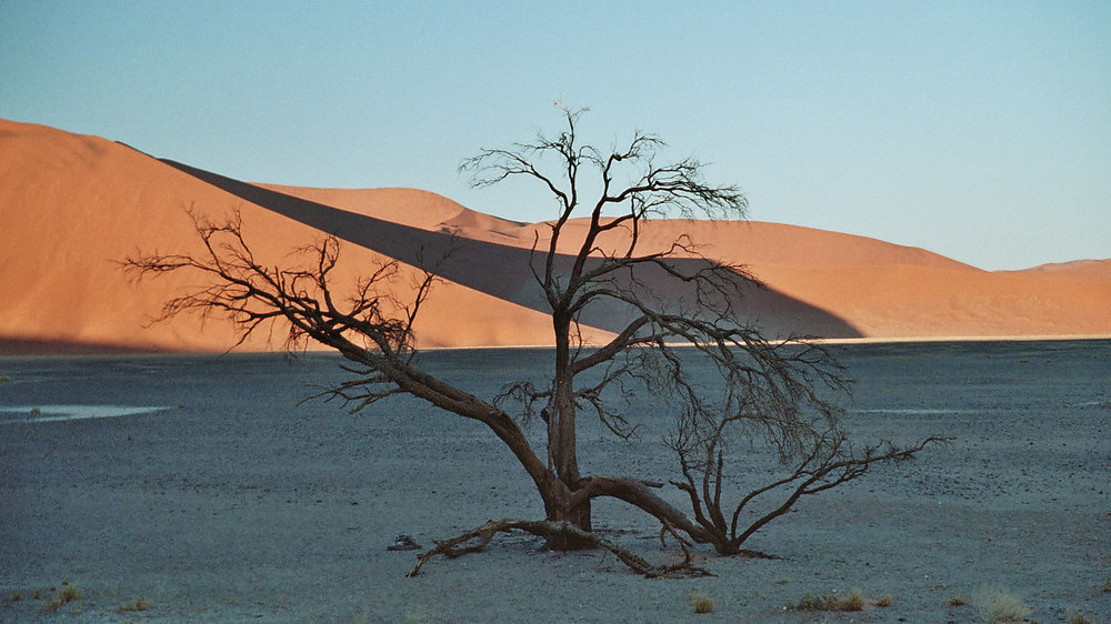 in der Namib (Sossusvlei)