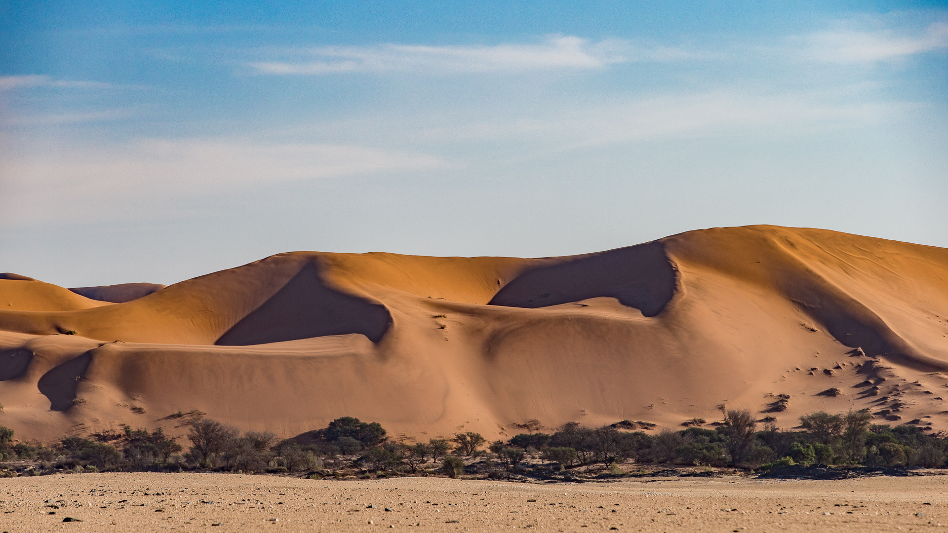 in der Namib Wüste