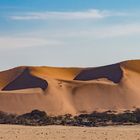 in der Namib Wüste