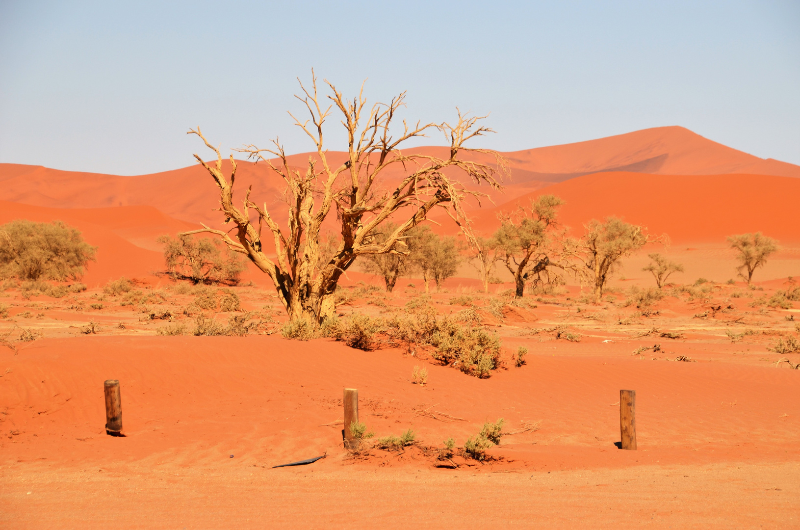 in der Namibwüste