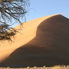 in der Namibwüste