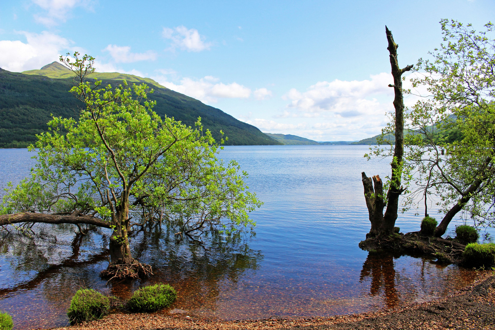 In der Natur - Am See