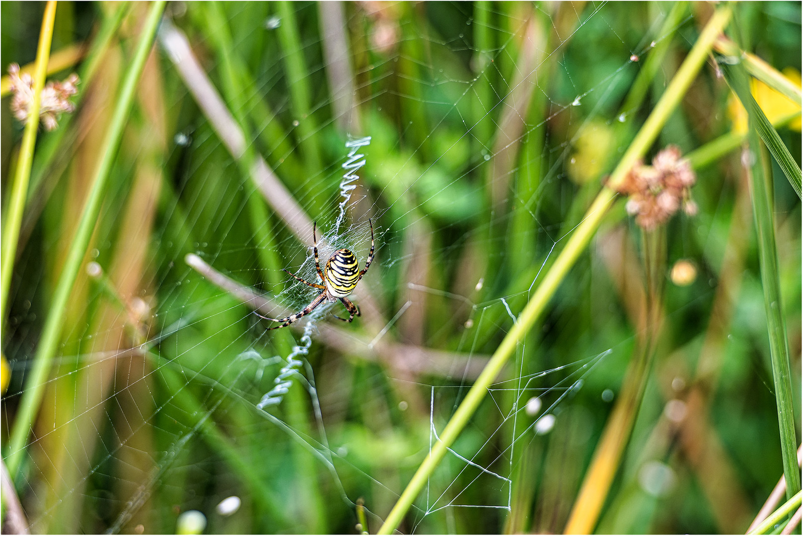 In der Natur