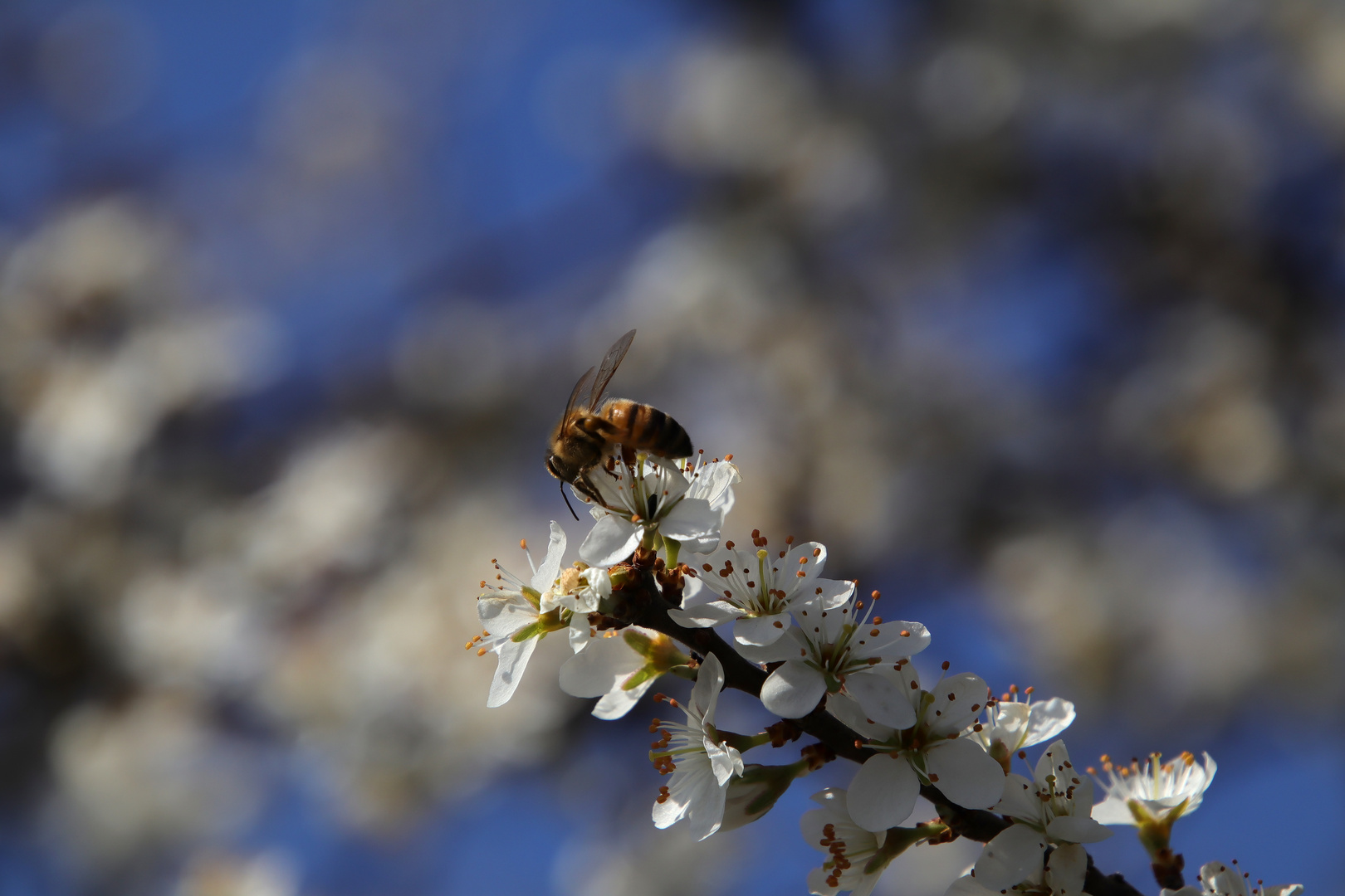 In der Natur unterwegs 