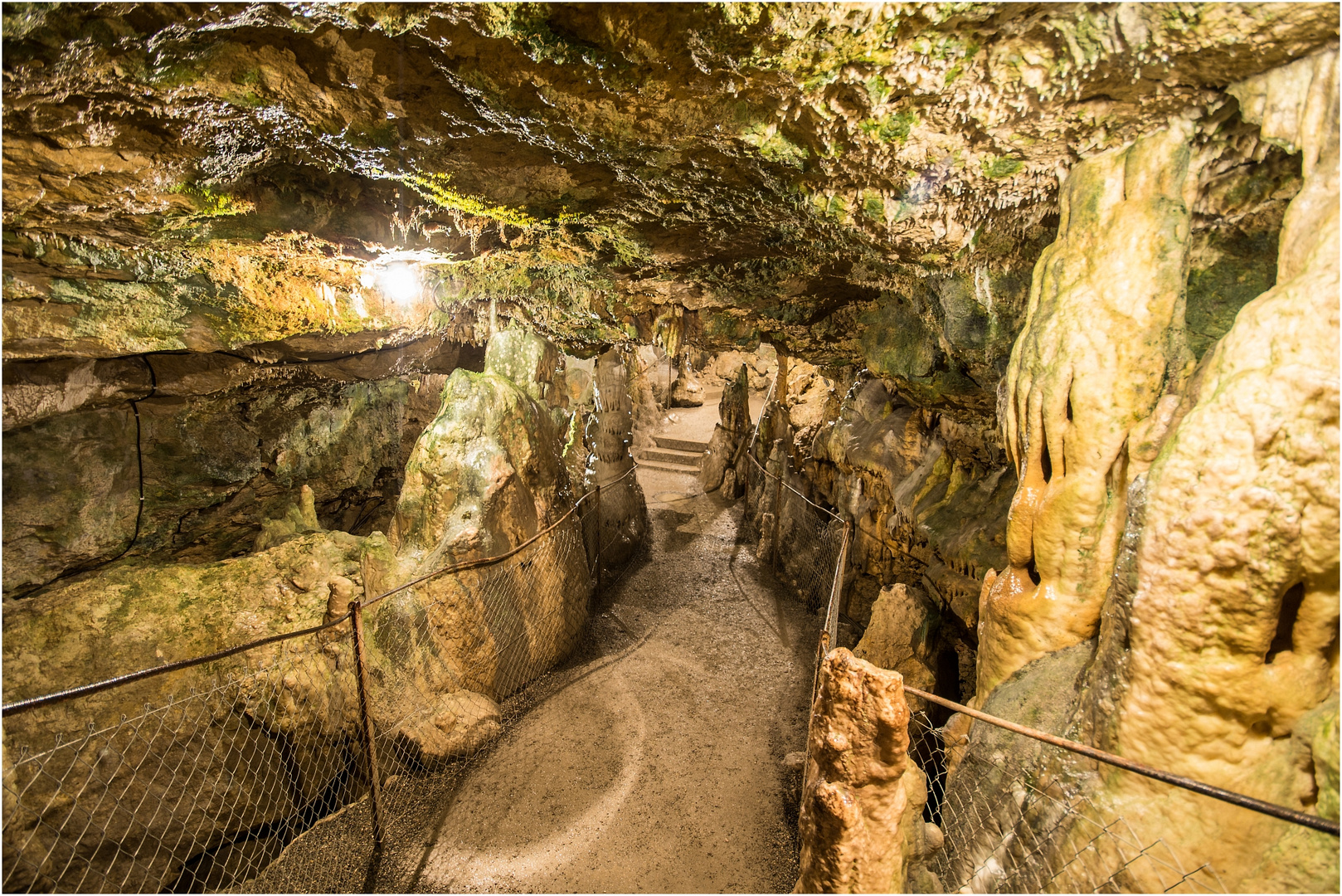 In der Nebelhöhle I