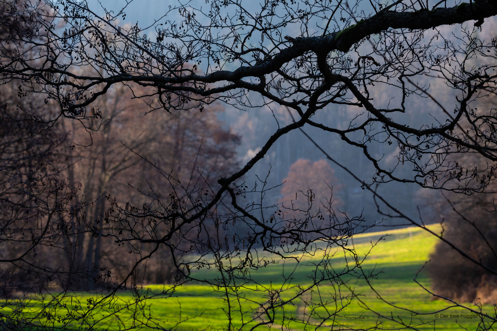 _in der Niederung_