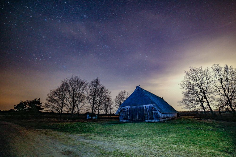 In der Nordheide