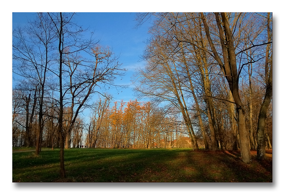 In der Novembersonne