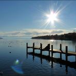 in der Novembersonne