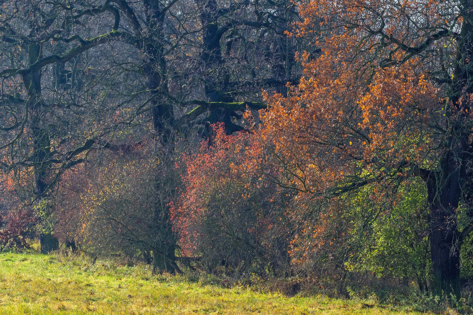 In der Novembersonne