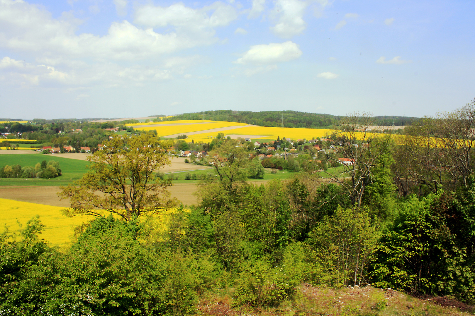 In der Oberlausitz