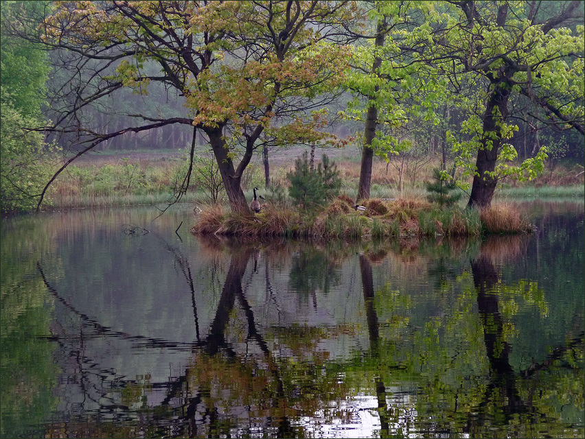 In der Ohligser Heide