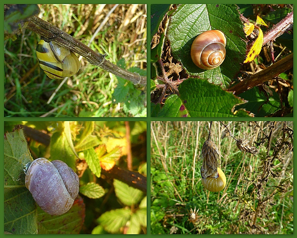 In der Oktobersonne