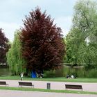 In der Orangerie in Strasbourg