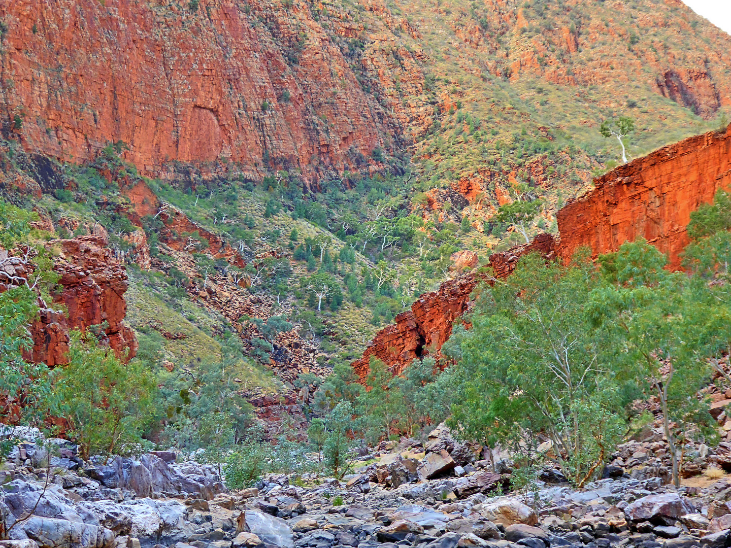 In der Ormiston Gorge