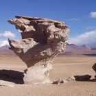 In der Pampa de Atacama