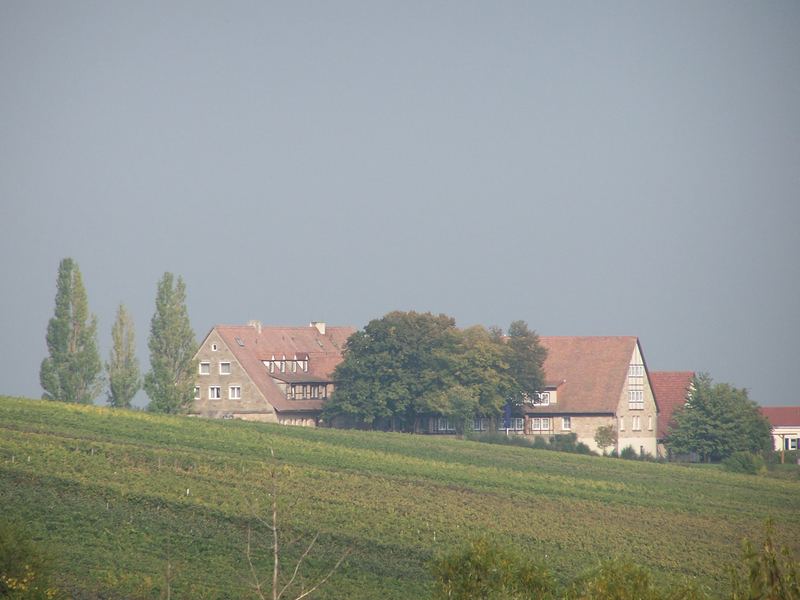 in der Pfalz