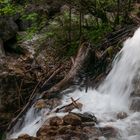 In der Pöllatschlucht