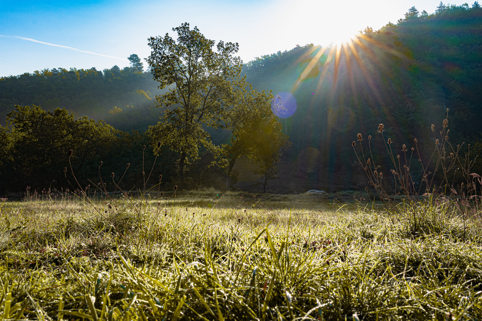 In der Provence