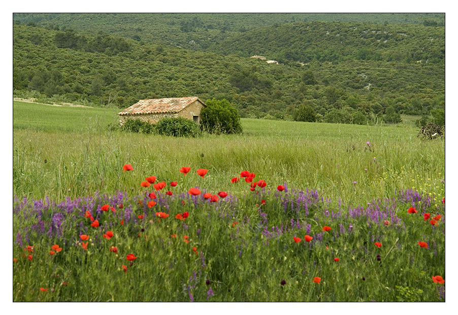 In der Provence...