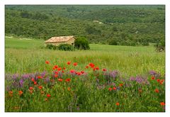 In der Provence...