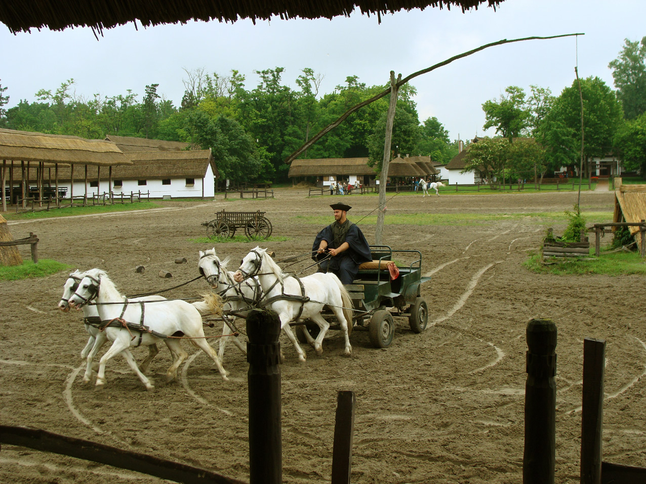 In der Puszta