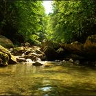 In der Raabklamm